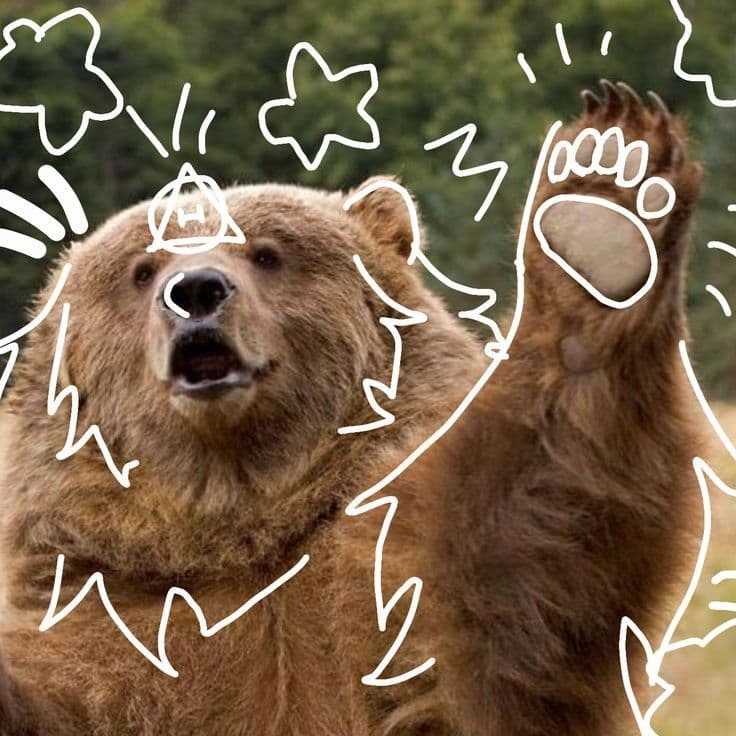 Manada segura de therians oso en Latam y España