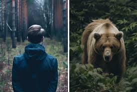 Guía práctica para therians oso