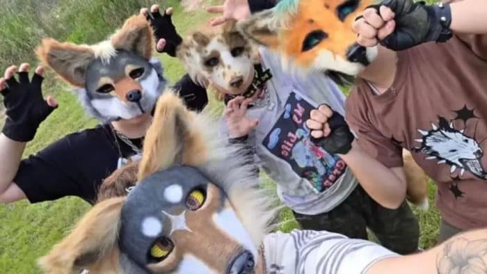 Grupo de therians oso