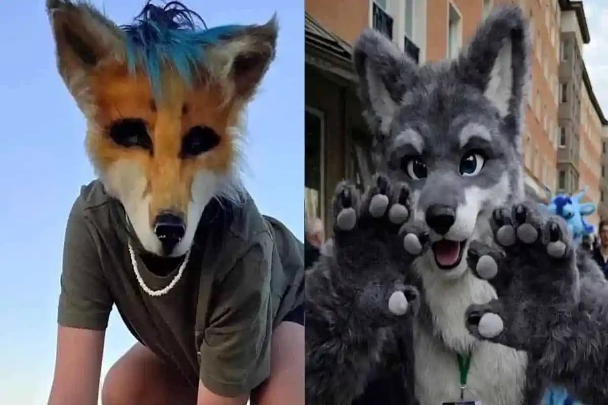 Diferencias therian zorro vs furry